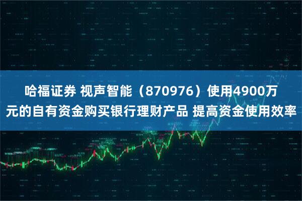 哈福证券 视声智能（870976）使用4900万元的自有资金购买银行理财产品 提高资金使用效率
