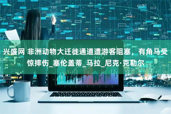 兴盛网 非洲动物大迁徙通道遭游客阻塞，有角马受惊摔伤_塞伦盖蒂_马拉_尼克·克勒尔