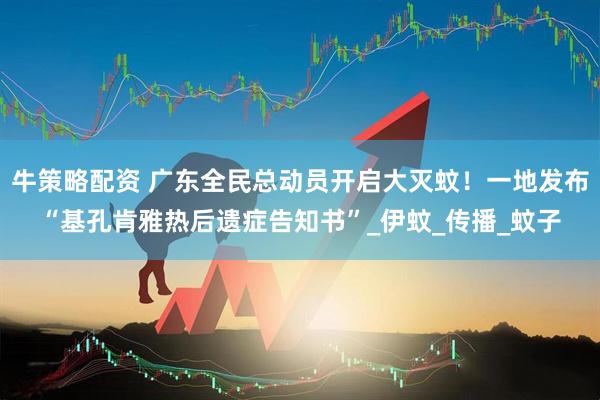 牛策略配资 广东全民总动员开启大灭蚊！一地发布“基孔肯雅热后遗症告知书”_伊蚊_传播_蚊子
