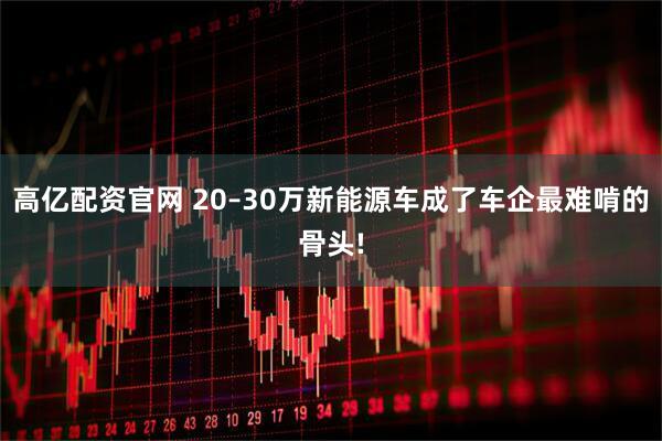 高亿配资官网 20–30万新能源车成了车企最难啃的骨头!
