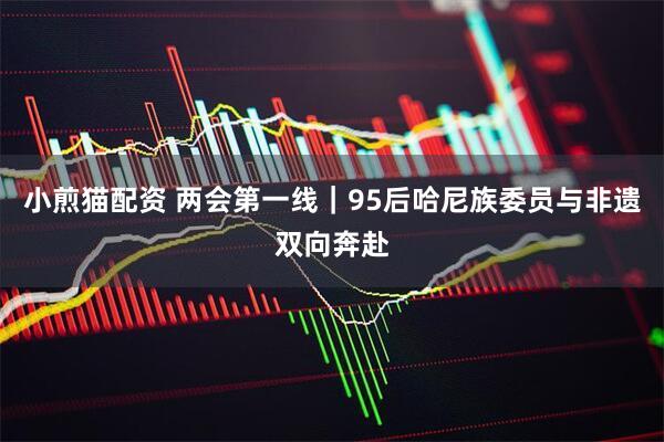 小煎猫配资 两会第一线｜95后哈尼族委员与非遗双向奔赴